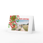 Merry Christmas Paint Splat Swirlies - Customized cards