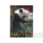 Merry Christmas Panda Happy New Year!
