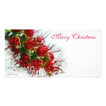 Merry Christmas Photocard Picture Card