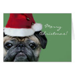 Merry Christmas Pug greeeting card