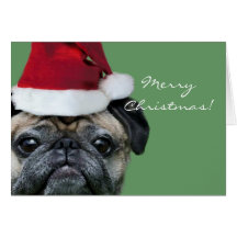 Merry Christmas Pug greeeting card