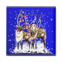 Merry Christmas Reindeer Magnet