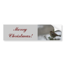 Merry Christmas Sparrow! Bumper Sticker