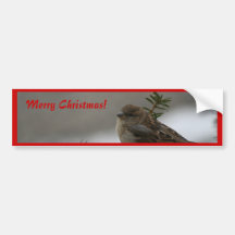 Merry Christmas, Sparrow Bumper Sticker