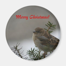 Merry Christmas, Sparrow Magnets