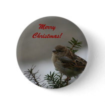 Merry Christmas Sparrow! with Scripture Pin