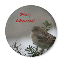 Merry Christmas Sparrow! with Scripture Refrigerator Magnets