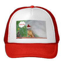 Merry Christmas Squirrel Saying Ho Ho Ho! Mesh Hats