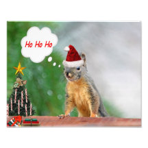 Merry Christmas Squirrel Saying Ho Ho Ho! Photographic Print