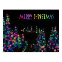Merry Christmas Tree Lights Postcard