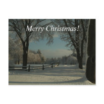 Merry Christmas!  Winter Wonderland! Postcards