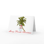 Merry Florida Christmas cards