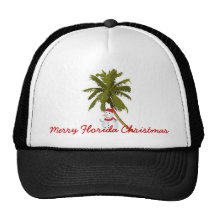 Merry Florida Christmas Hat