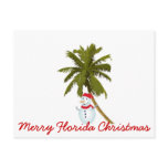 Merry Florida Christmas Post Card
