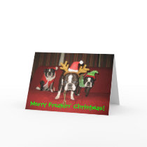 Merry Freakin' Christmas! Greeting Cards