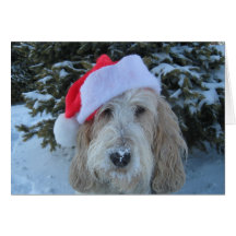 Merry GBGV Christmas Cards