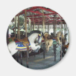 merry go round fridge magnets