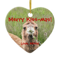 Merry Kiss-mas!  Love, Mona! ornaments
