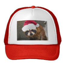 Merry Raccoon Christmas Mesh Hat