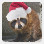 Merry Raccoon Christmas Stickers