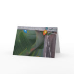 Merry X-mas Greeting Cards