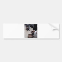 Mes animaux familiers adhésif pour voiture
