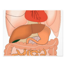 Mes entrailles, organes digestifs cartons d'invitation