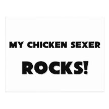 MES ROCHES de Sexer de poulet ! Cartes Postales