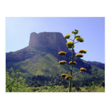 Mesa and Yucca 1 Post Card