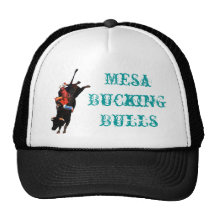 mesa bucking bulls hat