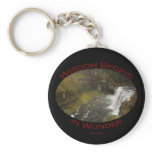 Mesa Falls Key Chain