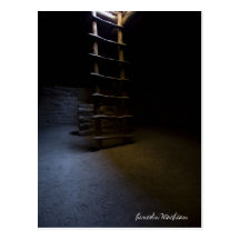Mesa Verde Ladder Room (Postcard)