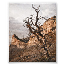 Mesa Verde Print Photographic Print