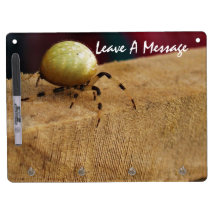 Message Board w/ Key Holder Dry-Erase Board