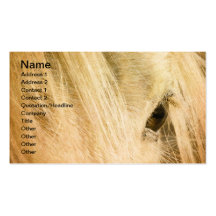 Messy Mane Business Card