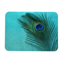 Metallic Aqua Blue Peacock Feather Magnets