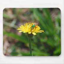 Metallic Green Bee Mouse Pad