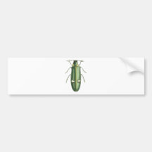 Metallic Wood-Boring Beetle Bumper Stickers