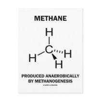 Methane Produced Anaerobically By Methanogenesis Postcard