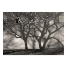 Metropolitan Shadows ATC Card Business Cards