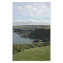 Mevagissey. Cornwall. Scenic coastal view. Personalized Flyer