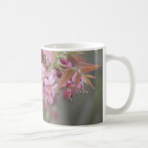 Mexican Buckeye in Bloom Coffee Mugs