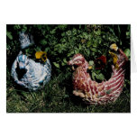 Mexican Chickens Cards