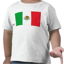 Mexican Flag Mexico Flag Kids