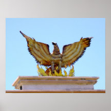 Mexican golden eagle print