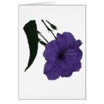 Mexican Petunia cutout flower Card