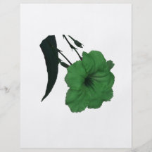 Mexican Petunia green colorized flower Flyers