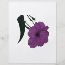 Mexican Petunia pink colorized flower Full Color Flyer