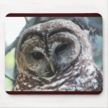 Mexican Spotted Owl Mousepad