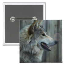 Mexican Wolf Pin